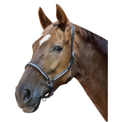 Licol en cuir Diamond HKM Noir