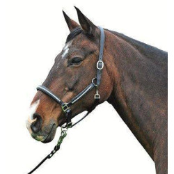 Licol en cuir Diamond HKM Noir