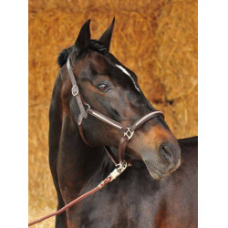 Licol en cuir Diamond HKM Noir