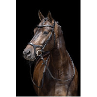 Bridon Anatomic Sports HKM Marron