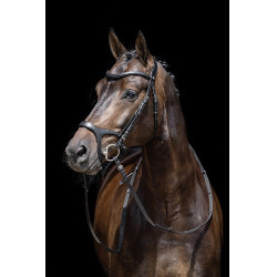 Bridon Anatomic Sports HKM Noir