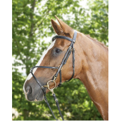 Bridon Mexican Style renforcé, mouton HKM Noir