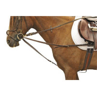 Rênes allemandes HKM avec boucles en inox Noir