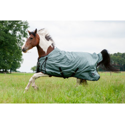 Couverture d'extérieur High Comfort Style 100g HKM 600D Sauge Violet