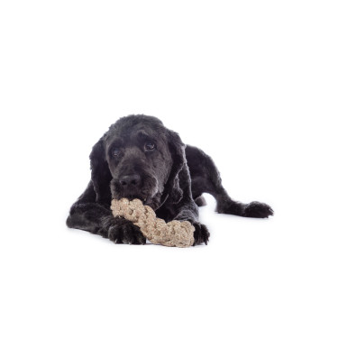 Jouet pour chien Buddy Knot Bone HKM Jouet pour chien Buddy Knot Bone HKM