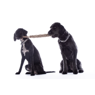 Jouet pour chien Buddy Knot Bone HKM Jouet pour chien Buddy Knot Bone HKM