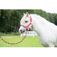 Longe Aymee avec mousqueton HKM Rouge