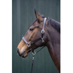 Licol en cuir Economic HKM Marron