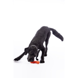 Jouet pour chien Buddy Bone III caoutchouc natu. HKM Orange