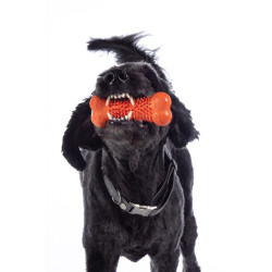 Jouet pour chien Buddy Bone III caoutchouc natu. HKM Orange