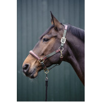 Licol Luna cuir et nylon HKM Vert / marron Licol Luna cuir et nylon HKM Vert / marron