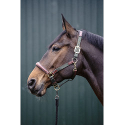 Licol Luna cuir et nylon HKM Vert / marron Licol Luna cuir et nylon HKM Vert / marron