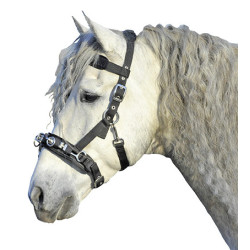 Filet caveçon HKM en nylon Noir Filet caveçon HKM en nylon Noir