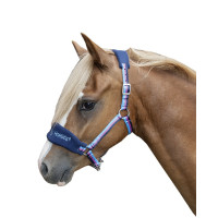 Licol Funny Horses HKM Bleu foncé, bleu, rose foncé Multi-couleurs