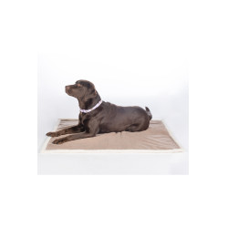 Tapis pour chien Lilly HKM Taupe Marron Tapis pour chien Lilly HKM Taupe Marron