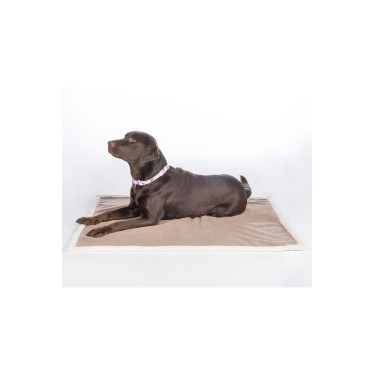 Tapis pour chien Lilly HKM Tapis pour chien Lilly HKM