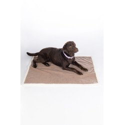 Tapis pour chien Lilly HKM Taupe Marron Tapis pour chien Lilly HKM Taupe Marron