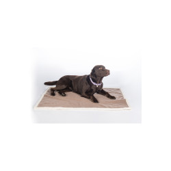 Tapis pour chien Lilly HKM Taupe Marron Tapis pour chien Lilly HKM Taupe Marron