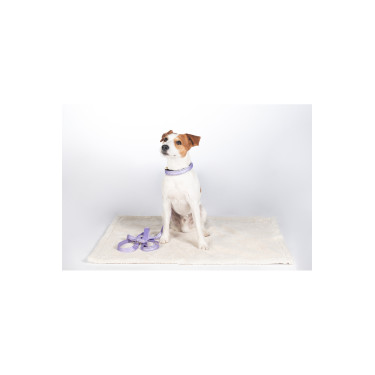 Tapis pour chien Lilly HKM Tapis pour chien Lilly HKM