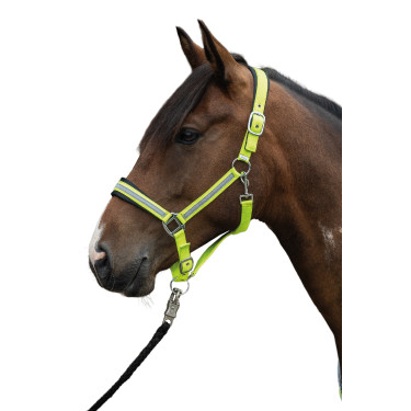 Licol Reflective HKM Licol Reflective HKM