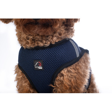 Harnais pour chien Buddy Soft HKM Harnais pour chien Buddy Soft HKM