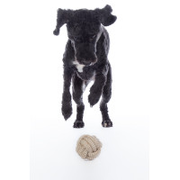 Jouet pour chien Buddy Knot Ball HKM Naturel Marron Jouet pour chien Buddy Knot Ball HKM Naturel Marron