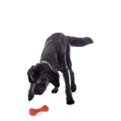Jouet pour chien Buddy Bone I caoutchouc naturel HKM Orange