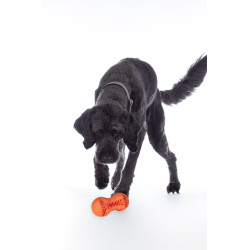Jouet pour chien Buddy Bone II caoutchouc natu. HKM Orange