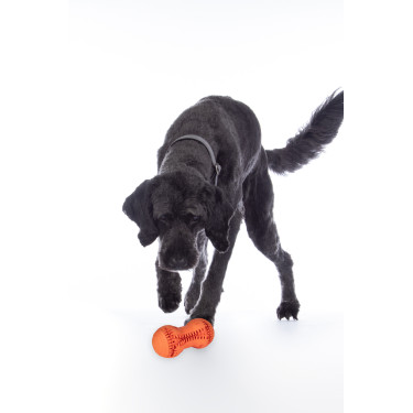Jouet pour chien Buddy Bone II caoutchouc natu. HKM Jouet pour chien Buddy Bone II caoutchouc natu. HKM