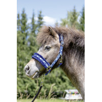 Licol Heart HKM Bleu