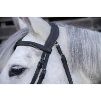 Bridon têtière anatomique Velazquez T de T Marron / beige