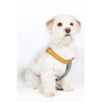Harnais pour chien StepIn Anam Cara nylon HKM Taupe / doré jaune Harnais pour chien StepIn Anam Cara nylon HKM Taupe / doré jaune