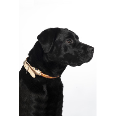 Collier de chien Anam Cara corde HKM Collier de chien Anam Cara corde HKM