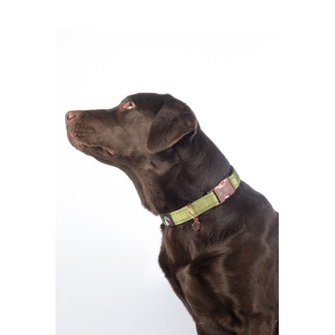 Collier de chien Ida nylon HKM Collier de chien Ida nylon HKM