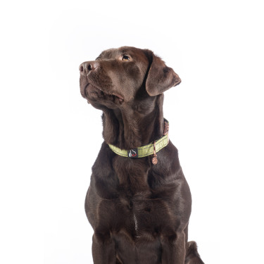 Collier de chien Ida nylon HKM Collier de chien Ida nylon HKM