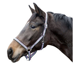 Licol Linz HKM Marron / gris / pink / bleu