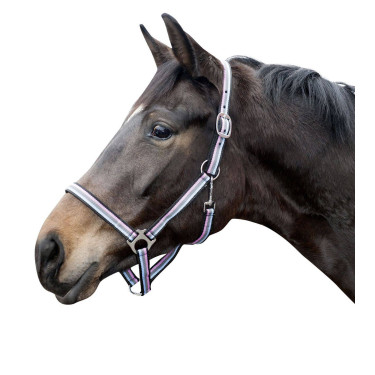 Licol Linz HKM Marron / gris / pink / bleu