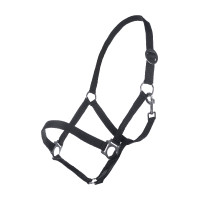 Licol HKM Classic Noir