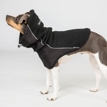 Cache cou pour chien Back on Track Benji Cache cou pour chien Back on Track Benji