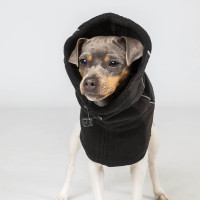 Cache cou pour chien Back on Track Benji Noir Cache cou pour chien Back on Track Benji Noir