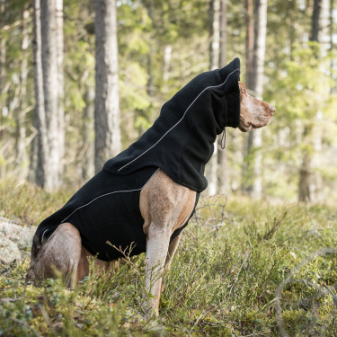 Cache cou pour chien Back on Track Benji Cache cou pour chien Back on Track Benji