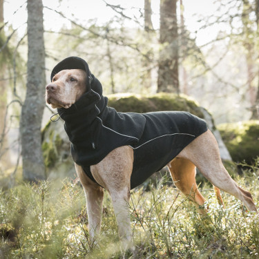 Cache cou pour chien Back on Track Benji Cache cou pour chien Back on Track Benji