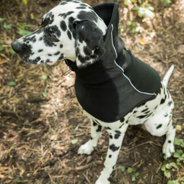 Cache cou pour chien Back on Track Benji Cache cou pour chien Back on Track Benji