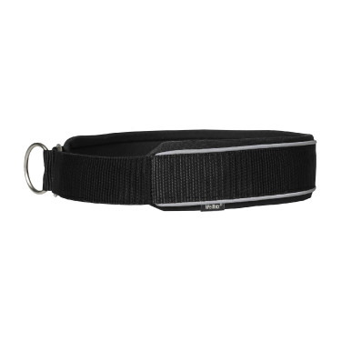 Collier pour chien Charlie Back on Track Noir