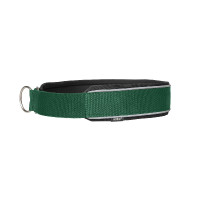 Collier pour chien Charlie Back on Track Vert