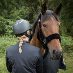 Licol Audrey Back on Track Noir Licol Audrey Back on Track Noir