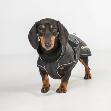Manteau long pour chien Back on Track Buddy Noir