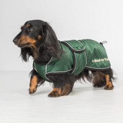 Manteau long pour chien Back on Track Buddy Vert Manteau long pour chien Back on Track Buddy Vert