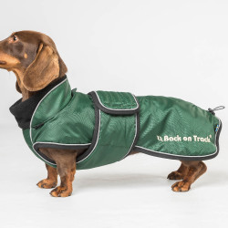Manteau long pour chien Back on Track Buddy Vert Manteau long pour chien Back on Track Buddy Vert