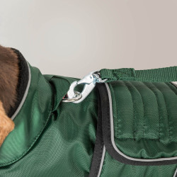 Manteau long pour chien Back on Track Buddy Vert Manteau long pour chien Back on Track Buddy Vert